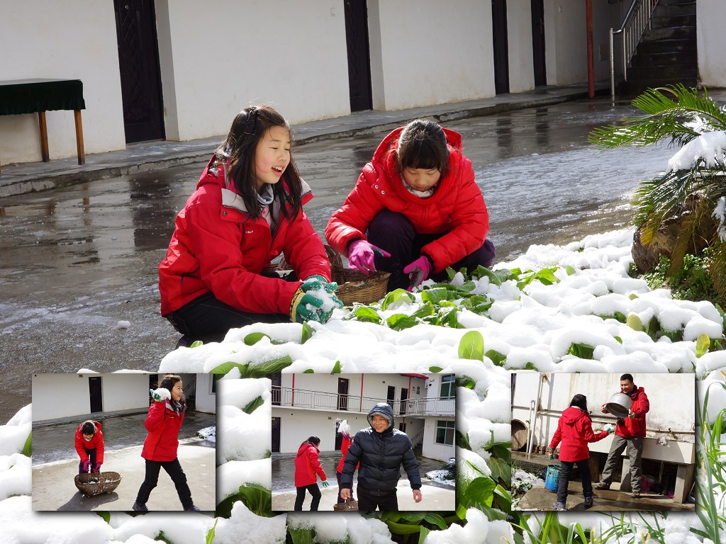 打雪仗.jpg