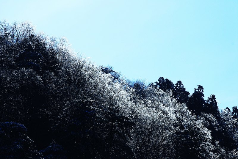 neo_img_dsc_0409_conew1.jpg