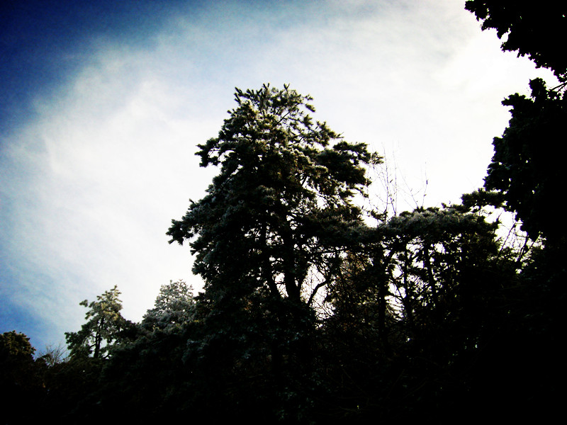 p1050153_.jpg