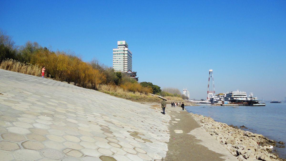 neo_img_dsc00783.jpg
