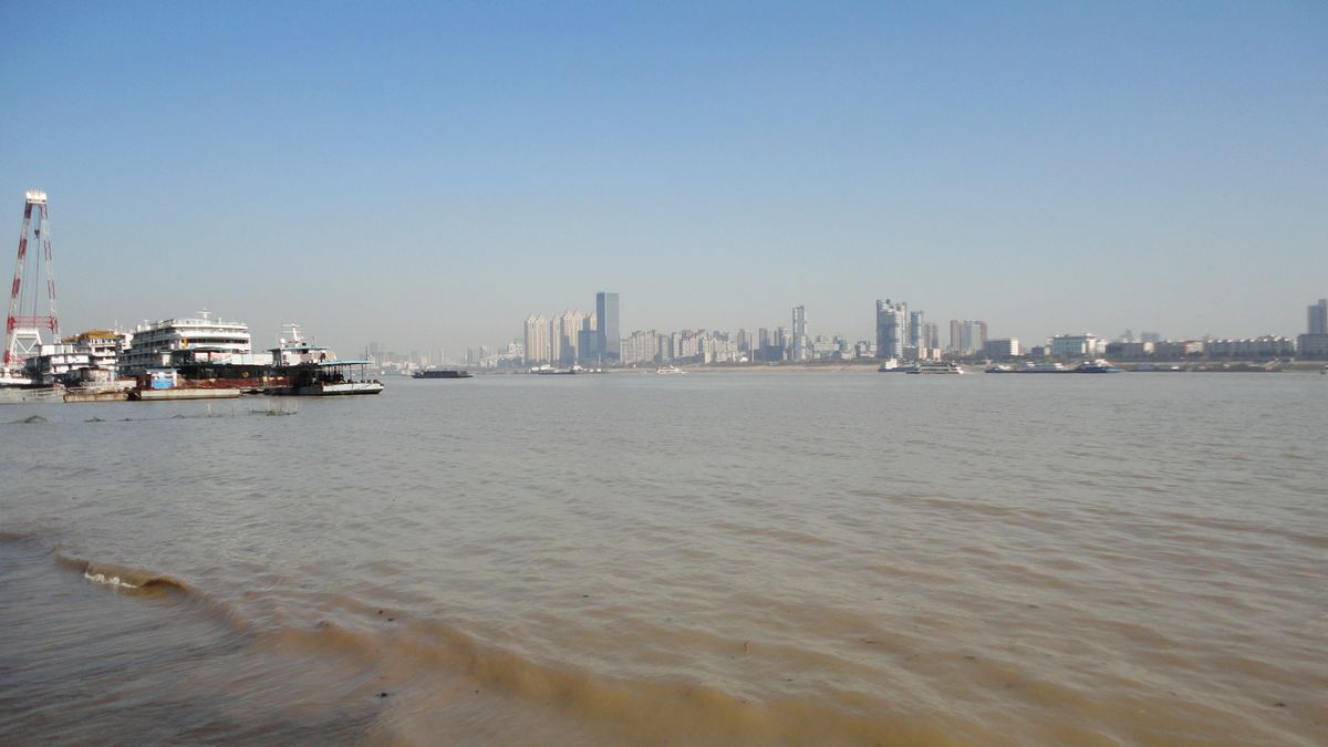 neo_img_dsc00784.jpg