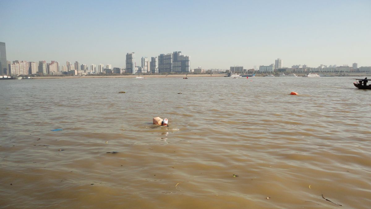 neo_img_dsc00826.jpg
