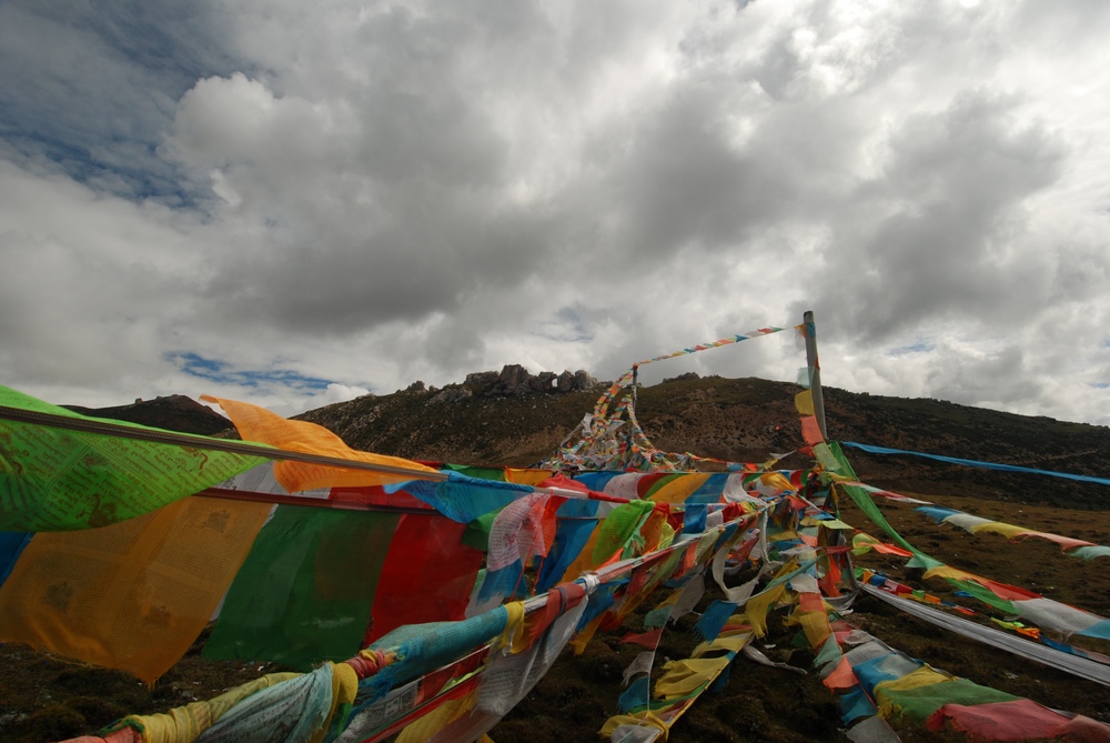 dsc_0669.jpg