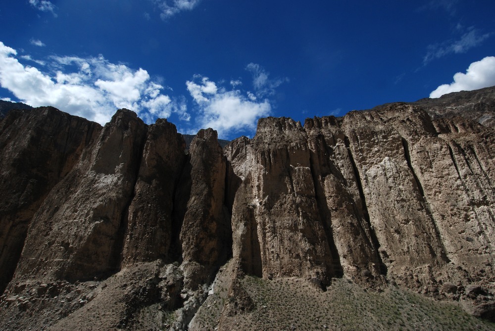 dsc_0800.jpg