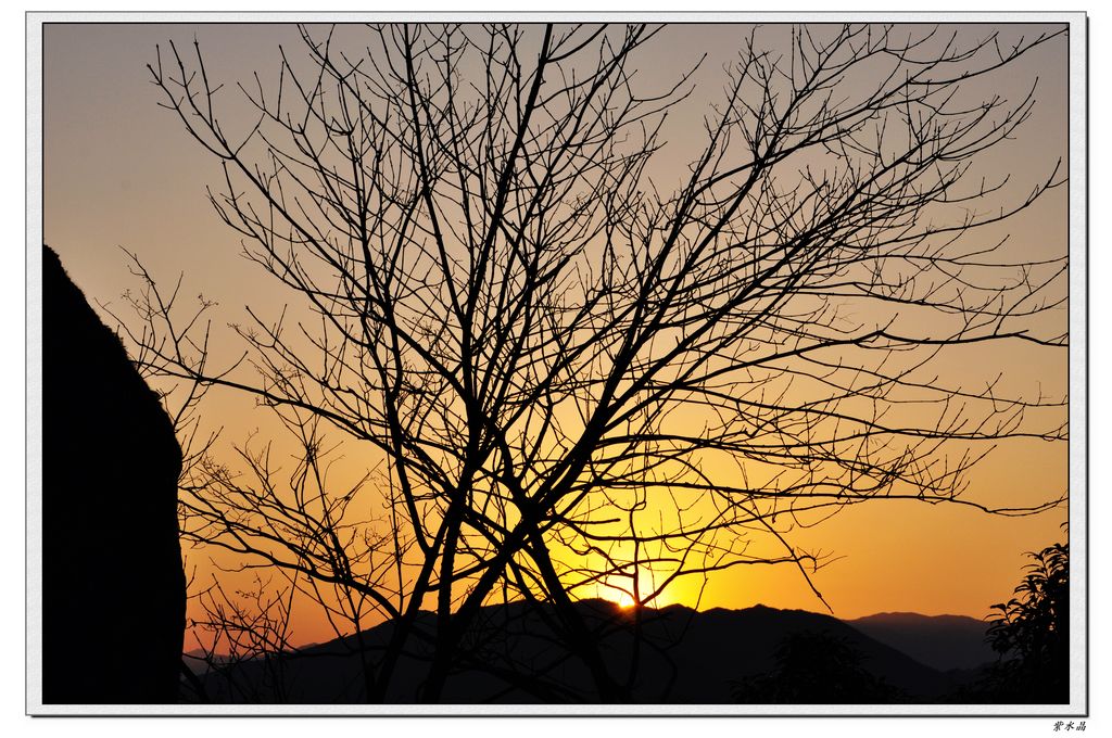 dsc_0253.jpg
