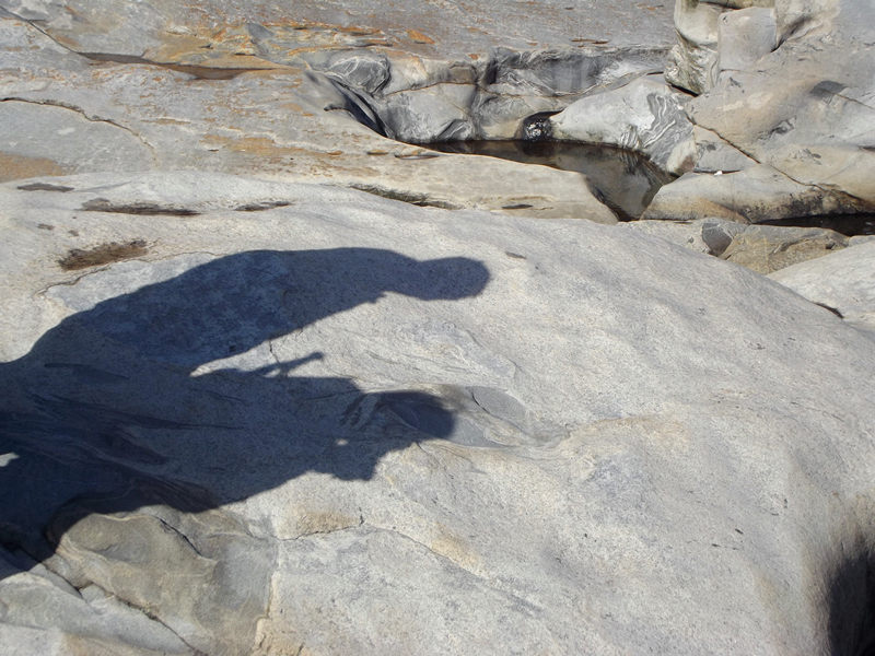 dscf0279_.jpg