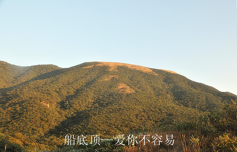 dsc_8095_.jpg