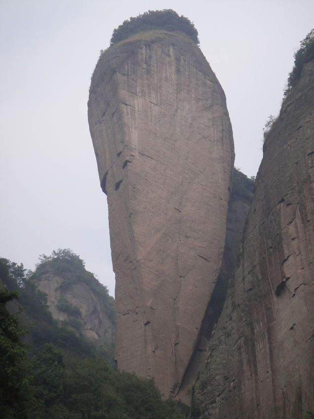 neo_img_dsc06678.jpg