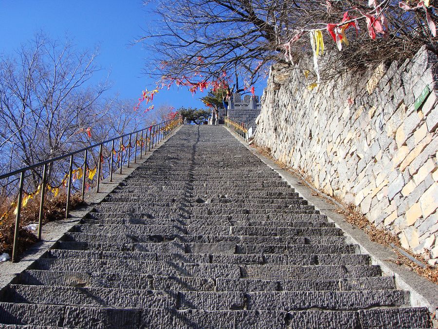 neo_img_dsc09954.jpg