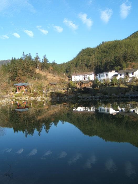 dscf1200.jpg
