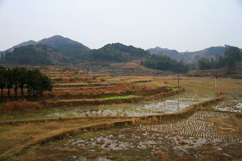 img_7979.jpg