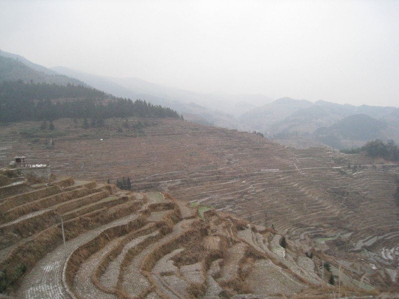 conew_img_7119.jpg