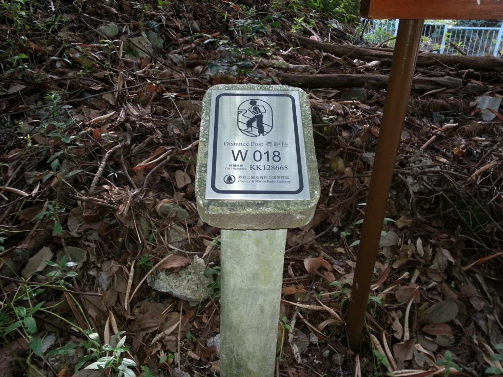 w18.jpg