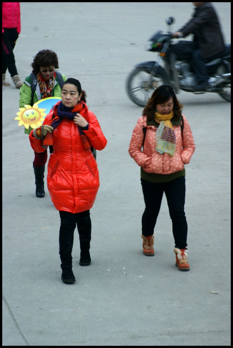 conew_dsc08033_conew1.jpg