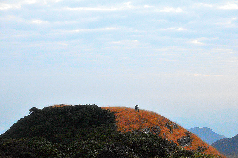 dsc_8153_.jpg
