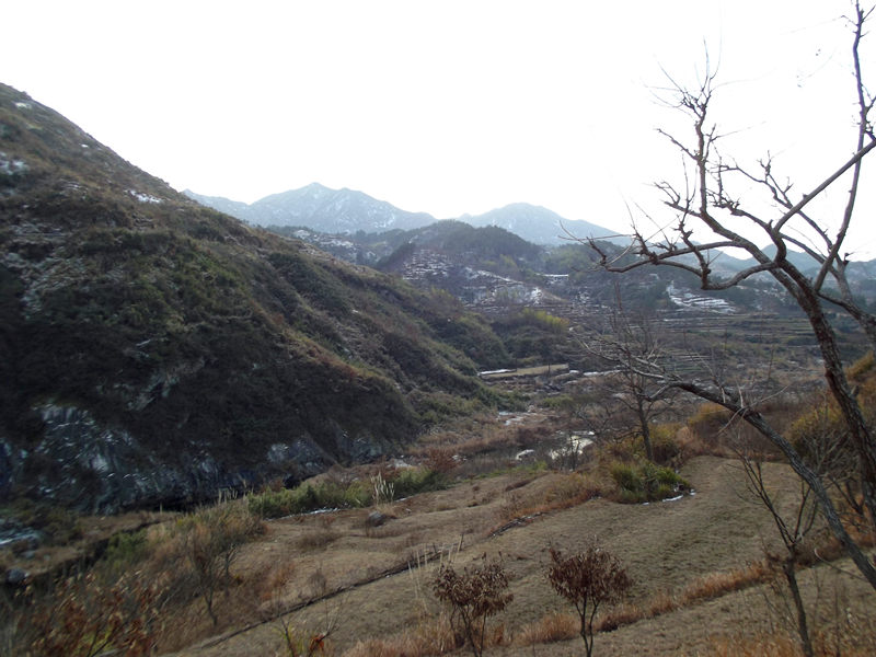 dscf0347_.jpg