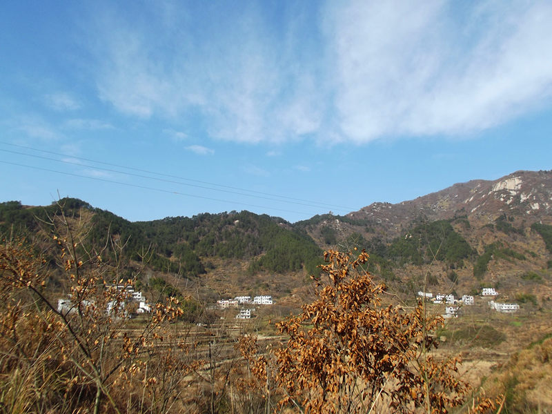 dscf0349_.jpg