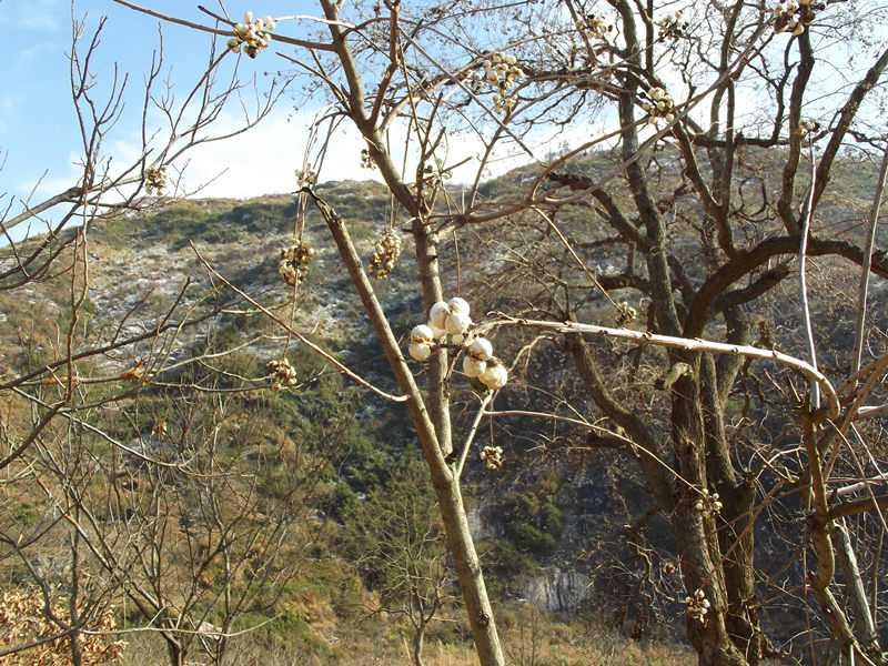 dscf0352_.jpg