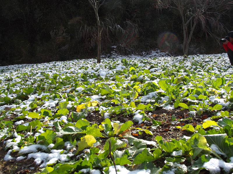 dscf0359_.jpg