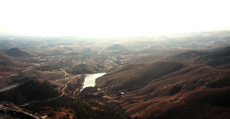 apx_7245.jpg