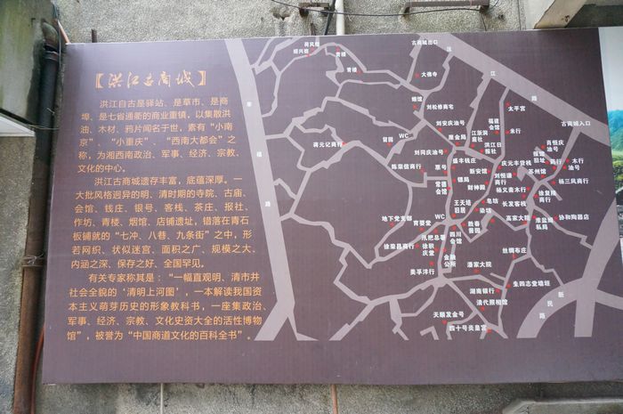 dsc00440.jpg