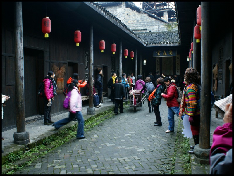 conew_dsc08150_conew1.jpg