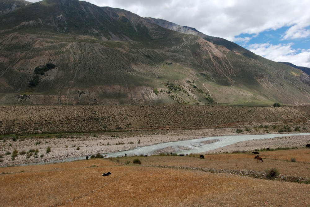 dsc_0905.jpg