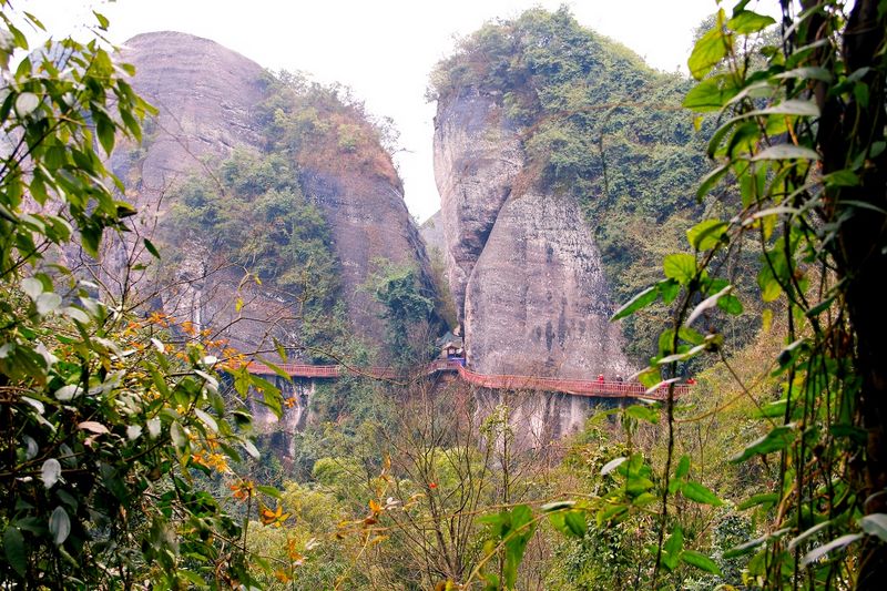 _mg_3990.jpg