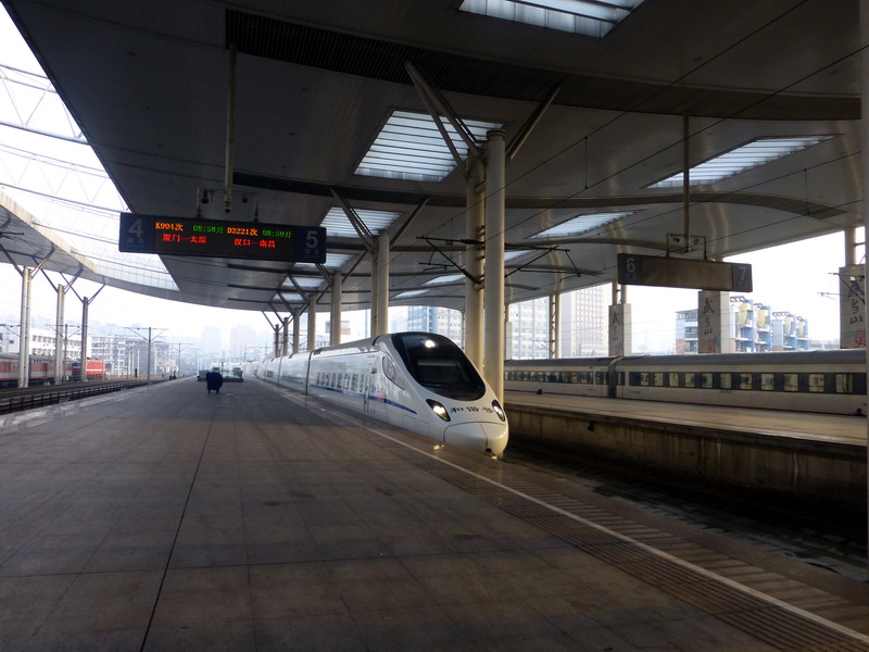 p1010937.jpg