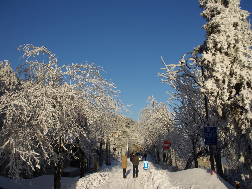imgp89741.jpg