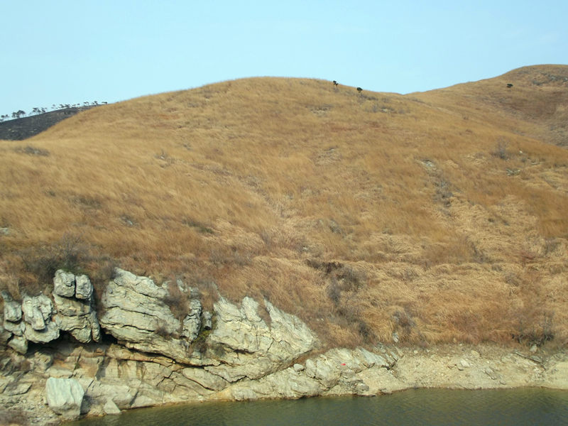 dscf0455_.jpg