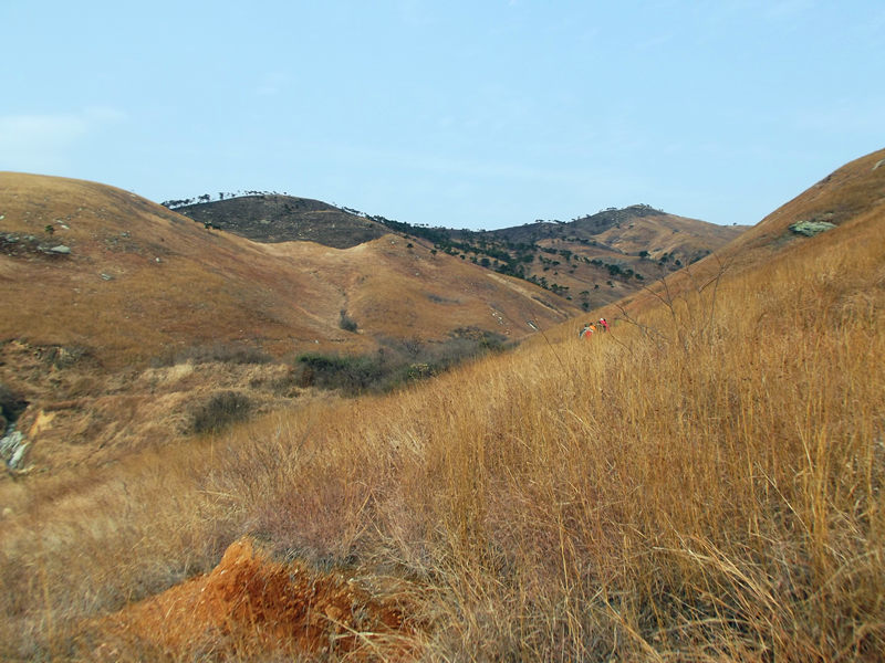 dscf0469_.jpg