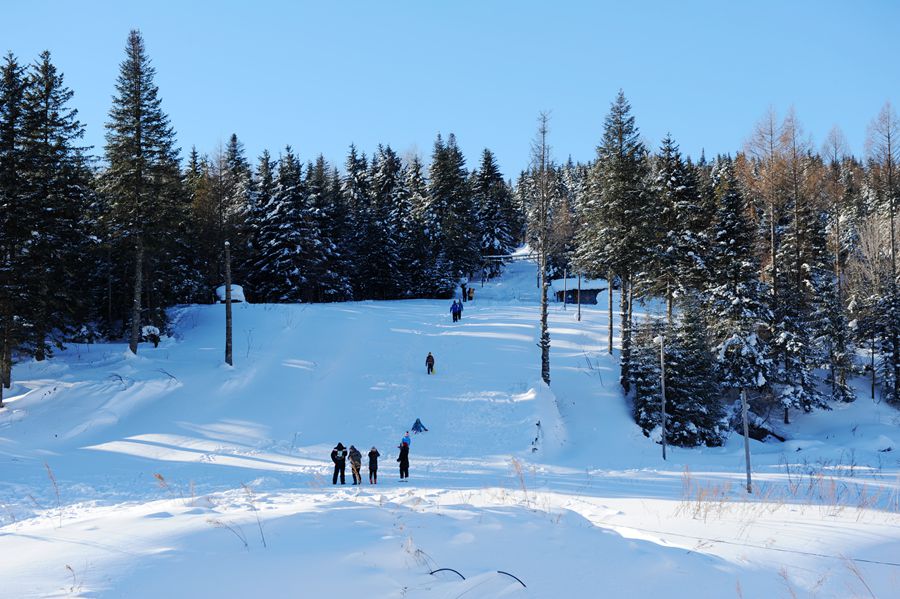 dsc_5187.jpg