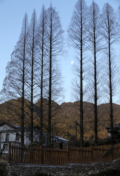 Ƭ 006-1.jpg