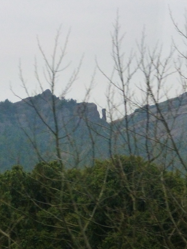 p1010966.jpg
