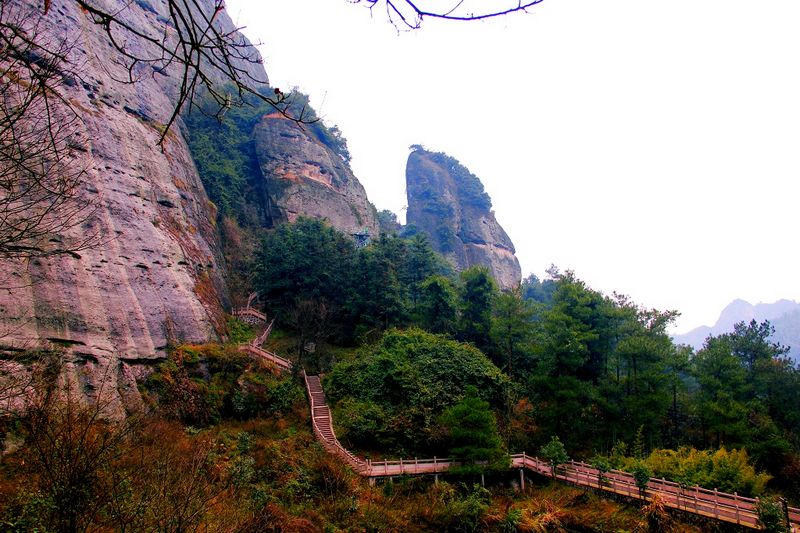 _mg_4310.jpg