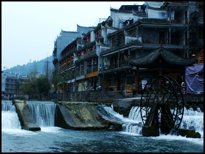 conew_dsc08210_conew1.jpg