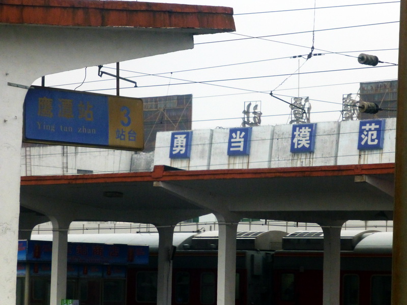 p1020005.jpg
