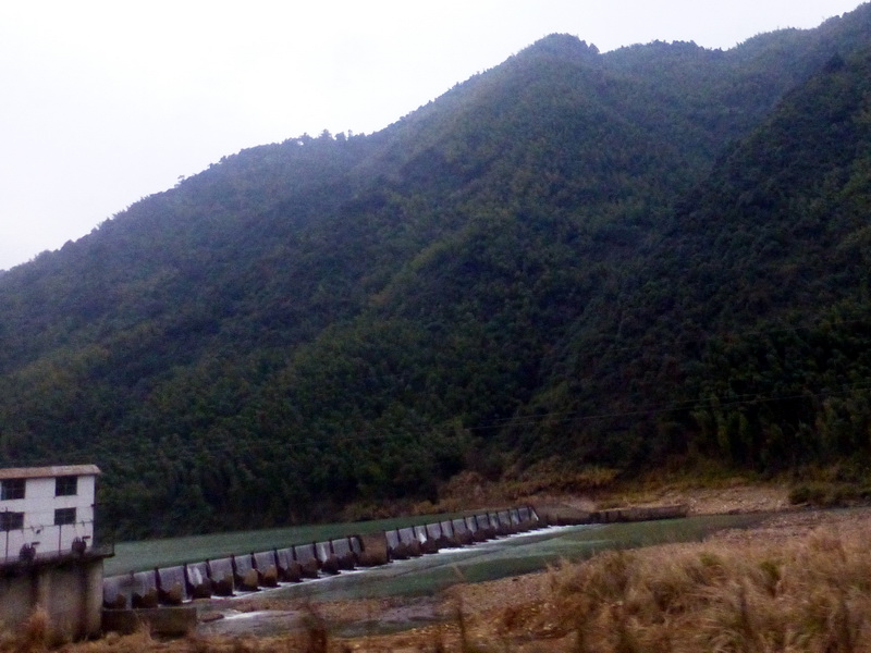 p1020021.jpg