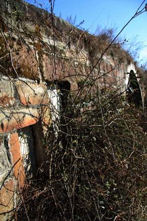 img_3196_С.jpg