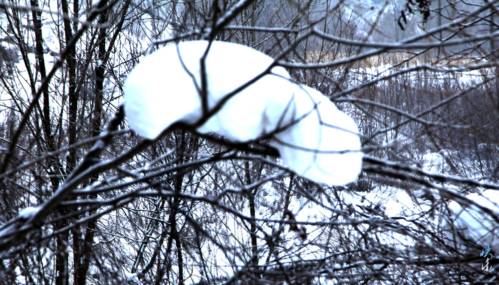 img_2469.jpg