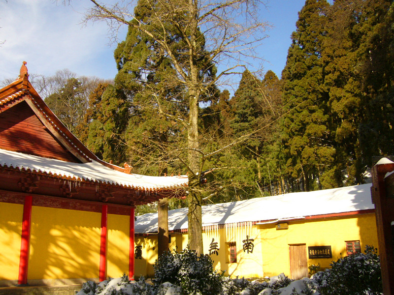 p1050291_.jpg