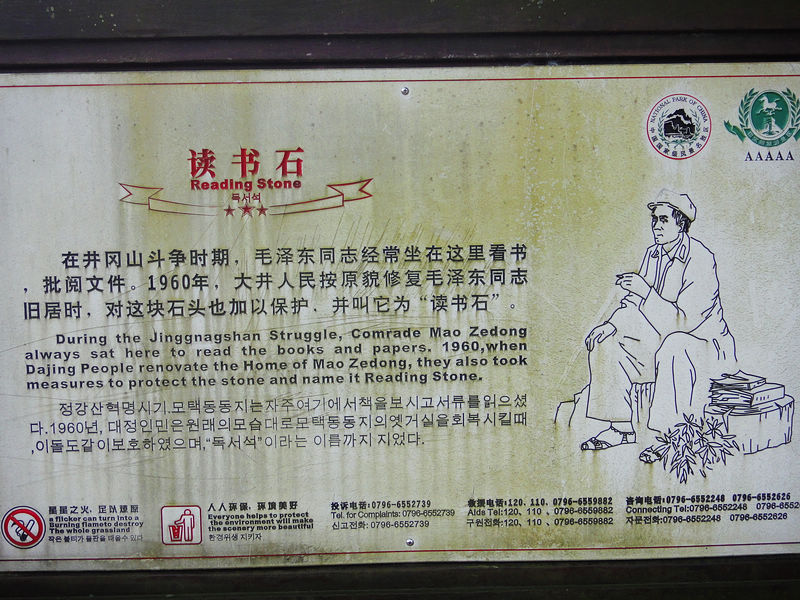 dsc08549.jpg
