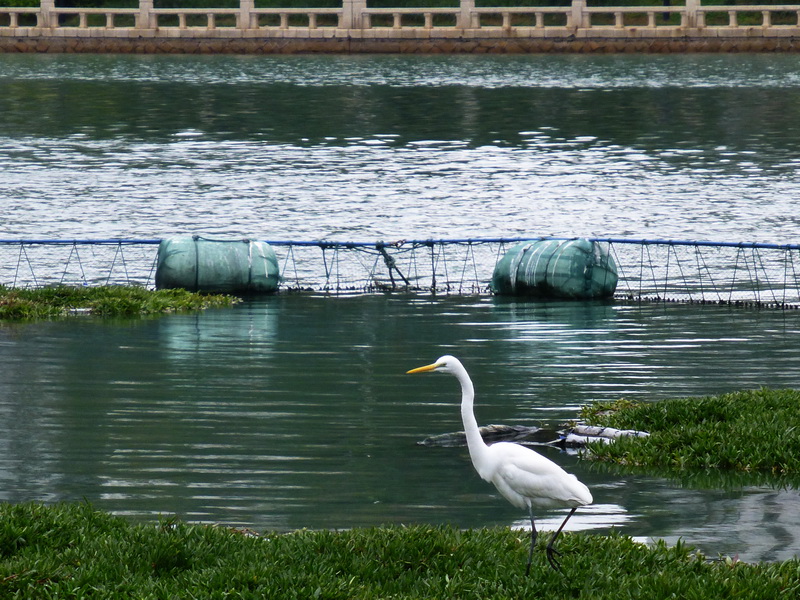 p1020059.jpg