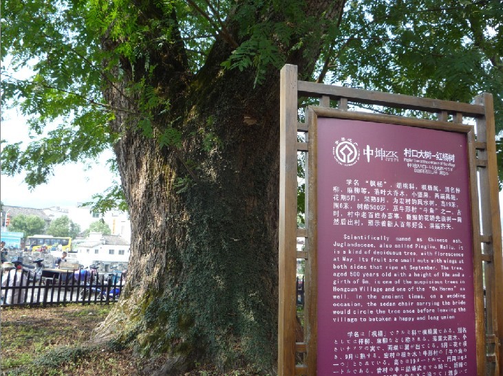 qqͼƬ20131010143332.jpg