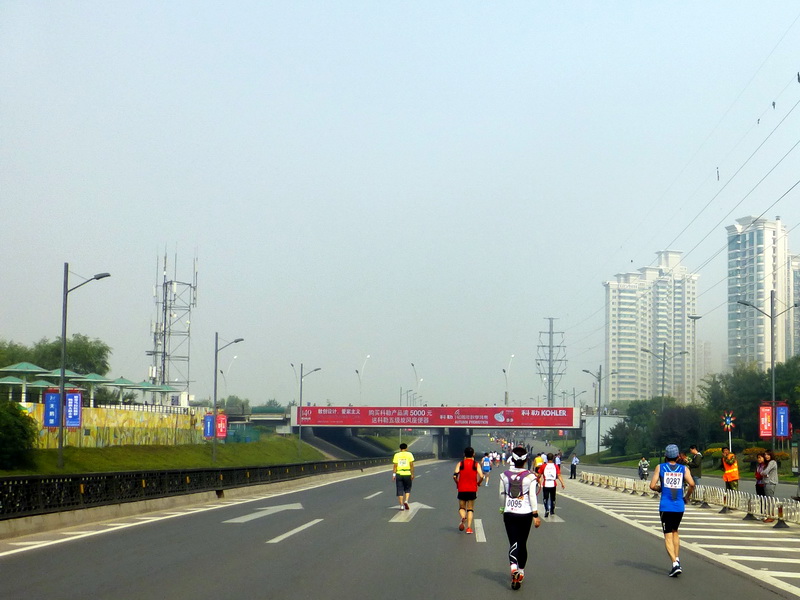 p1130165.jpg