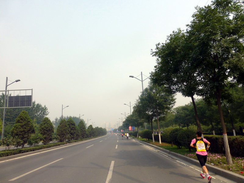 p1130159.jpg