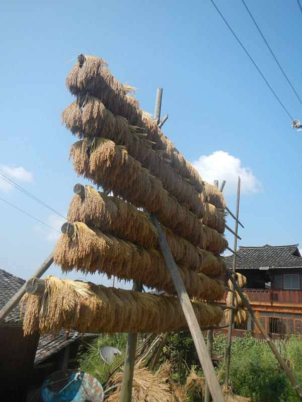 dscn0610_.jpg