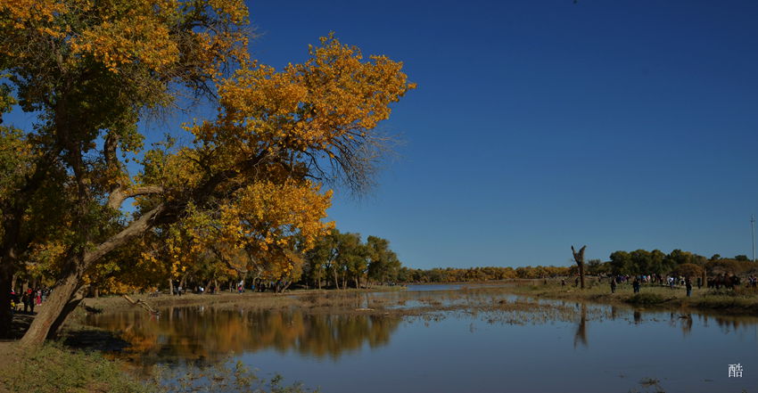 dsc_6630_.jpg