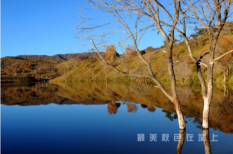 qq图片20131010201753.jpg
